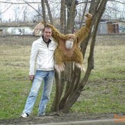 ���������� ���������������, ���� ������� �����, 40 ���, ������������ 