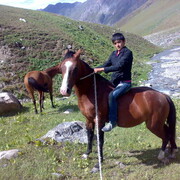 ���������� ������, ���� ������� Nasim, 33 ����, ������������ ��� ������, ����� � ���������