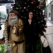 ���������� ����, ���� ������� ����, 41 ���, ������������ 