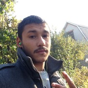  ,   Zevs, 29 ,   ,   , c 