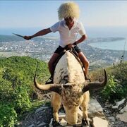 ���������� ������, ���� ������� �������, 37 ���, ������������ ��� ������, ����� � ���������, c�������� ���������, ���������