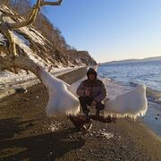 ���������� �������������-����������, ���� ������� Nurbek, 31 ���, ������������ ��� ������, ����� � ���������