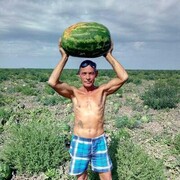  ,   , 62 ,   ,   