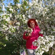  ,   , 58 ,     , c 