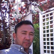 ���������� �����������, ���� ������� HABIB, 43 ����, ������������ ��� ������, ����� � ���������, c�������� ���������