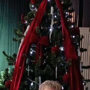 ���������� �����������, ���� ������� �������, 63 ����, ������������ ��� c�������� ���������