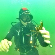 ���������� ������, ���� ������� �������, 45 ���, ������������ ��� ������, ����� � ���������, c�������� ���������