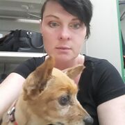 ���������� �����-���������, ���� ������� �������, 42 ����, ������������ ��� ����� � ���������, c�������� ���������