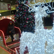 ���������� �������, ���� ������� ������, 44 ����, ������������ ��� ������, ����� � ���������, c�������� ���������