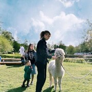 ���������� ������, ���� ������� ��������, 22 ����, ������������ ��� ������, ����� � ���������