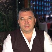  ,   Hari, 50 ,   ,   