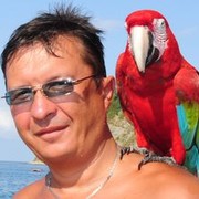  ,   , 58 ,  