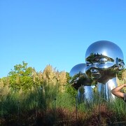 ���������� �����-���������, ���� ������� �������, 36 ���, ������������ ��� ������, ����� � ���������