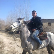  ,   Sanjar, 37 ,   , 