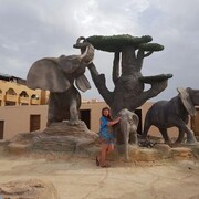 ���������� ������, ���� ������� �������, 40 ���, ������������ ��� c�������� ���������