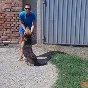  ,   , 39 ,   