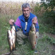  ,   , 64 ,   ,   , c 