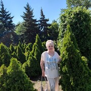 ���������� ��������, ���� ������� ������, 65 ���, ������������ ��� ������, ����� � ���������