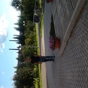  -,   , 56 ,   ,   , c , 