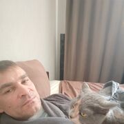 ���������� ��������, ������� �����, 41