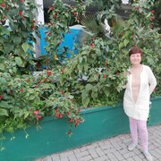  ,   , 66 ,   c 