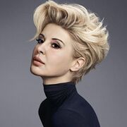 ���������� �����������, ���� ������� ������, 56 ���, ������������ ��� c�������� ���������