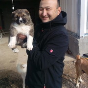  ,  Serdarhan, 45