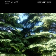 ���������� ������, ���� ������� �����, 38 ���, ������������ ��� ����� � ���������, c�������� ���������