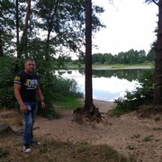 ���������� ����, ���� ������� ������, 41 ���, ������������ ��� ������, ����� � ���������, c�������� ���������, ���������