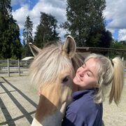 ���������� ������, ���� ������� ���������, 22 ����, ������������ ��� ������, ����� � ���������