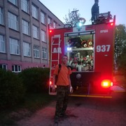  ,   , 33 ,   