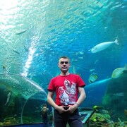  ,   , 44 ,   ,   , c , 