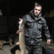 ���������� ������, ���� ������� ����, 38 ���, ������������ ��� ������, ����� � ���������