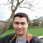  ,   Sardor, 39 ,   ,   , c 