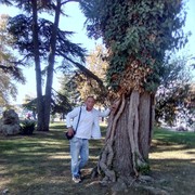  ,   , 50 ,   