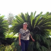 ���������� ������, ���� ������� �������, 53 ����, ������������ ��� ������, ����� � ���������