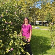 ���������� ������������, ���� ������� ����������, 39 ���, ������������ ��� ������, ����� � ���������, c�������� ���������