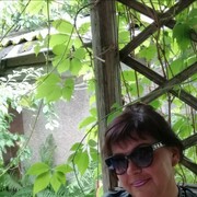  ,   , 53 ,  