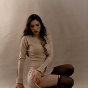 ���������� ���������, �����