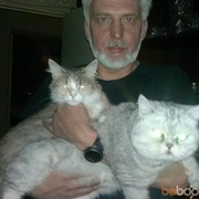  ,   , 61 ,   ,   , c , 