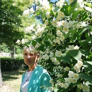  ,   , 56 ,   c 
