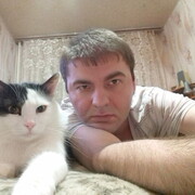 ���������� ������, ���� ������� �������, 41 ���, ������������ ��� ����� � ���������, c�������� ���������