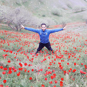 ���������� ������, ���� ������� Black Wolf, 34 ����, ������������ ��� ����� � ���������, c�������� ���������, ���������