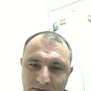  --,   , 51 ,   ,   , c 
