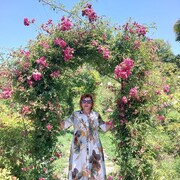 ���������� �����������, ���� ������� ��������, 63 ����, ������������ ��� ����� � ���������, c�������� ���������