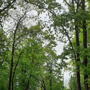 ���������� ������, ���� ������� �����, 39 ���, ������������ ��� ������, ����� � ���������