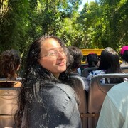 ���������� ����������, ���������