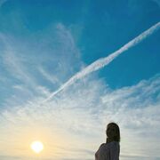 ���������� ������, ���� ������� �����, 44 ����, ������������ ��� ������, ����� � ���������