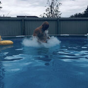 ���������� ������, ���� ������� �����, 29 ���, ������������ ��� ������, ����� � ���������, c�������� ���������