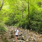 ���������� �����, ���� ������� ���������, 40 ���, ������������ ��� ����� � ���������, c�������� ���������